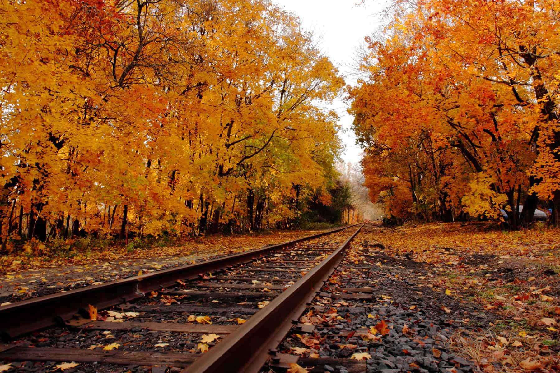 railroad track in the middle of Fall in New Jersey