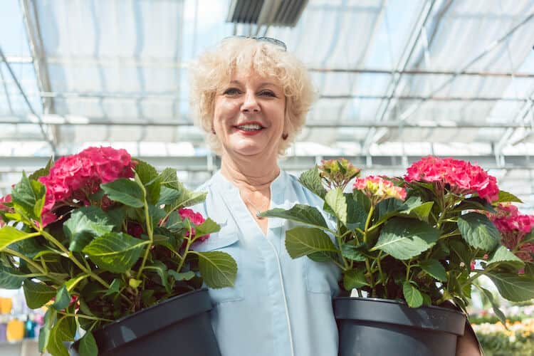 Smiling senior woman planting flowers in a greenhouse. 
