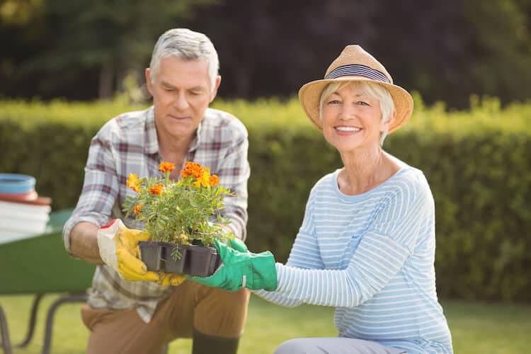Senior couple gardening.