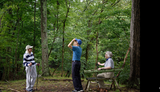 A group of senior friends walks in the woods.