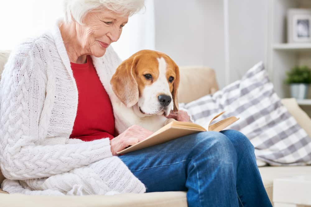 A senior woman and her pet beagle look at a book together