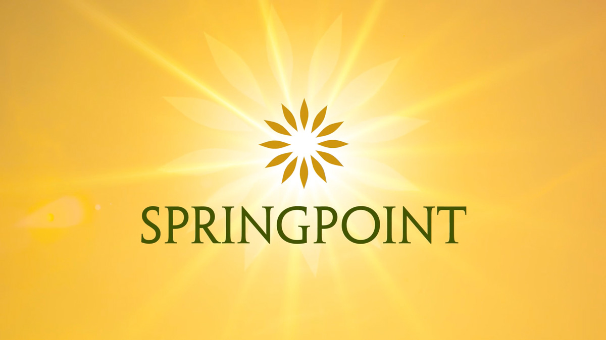 springpoint logo with yellow background