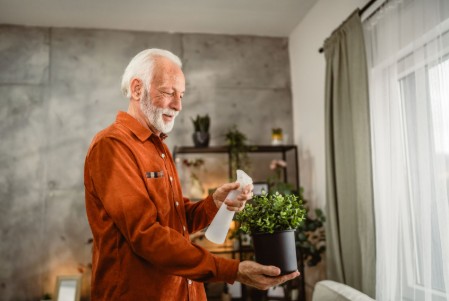 Senior man takes care of houseplant with a spray bottle of water