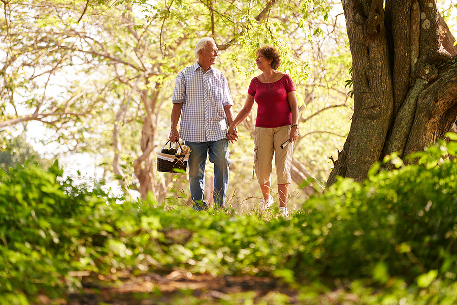 Senior couple walks with picnic basket