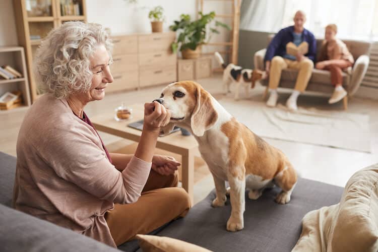 A senior woman feeding a treat to her dog in their senior living community.